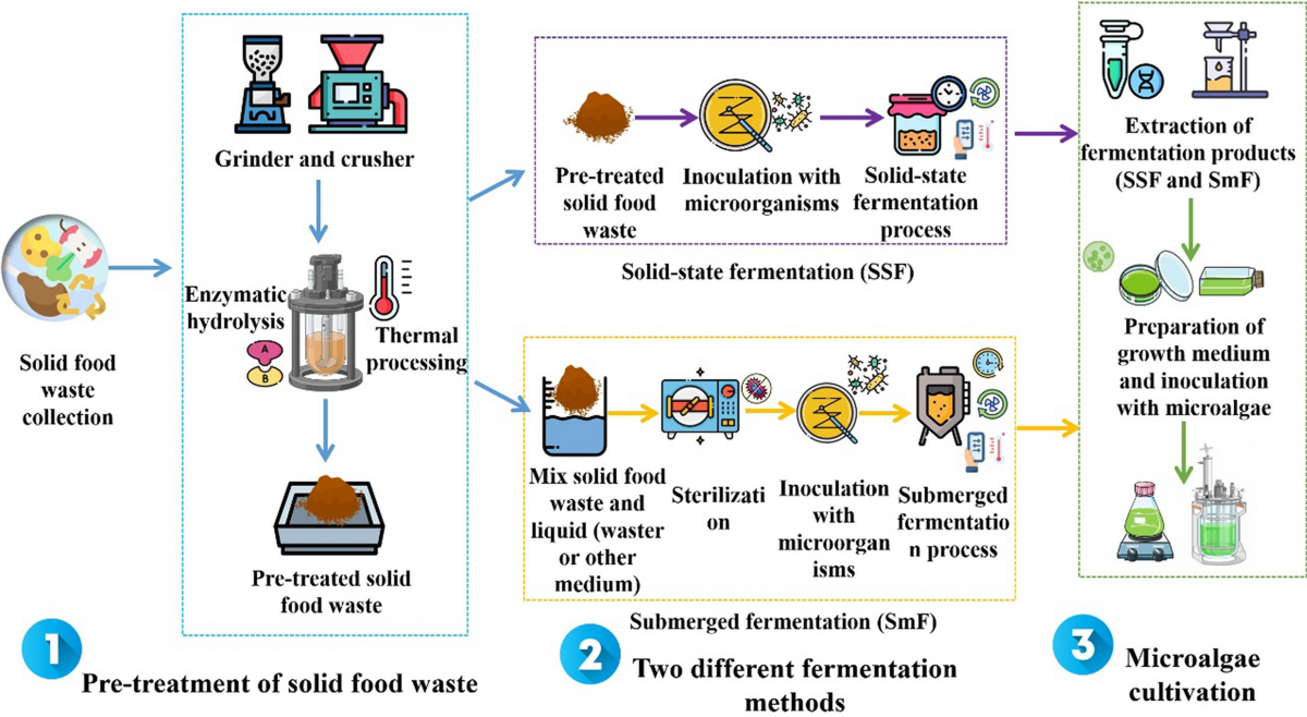 A perspective on the environmental impact of plant-based protein  concentrates and isolates | PNAS, image size:1200x658