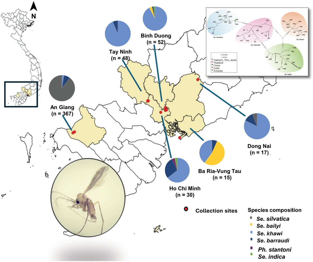 Survey of sand fly fauna in six provinces of Southern Vietnam with species  identification using DNA barcoding | Parasites & Vectors | Springer Nature  Link