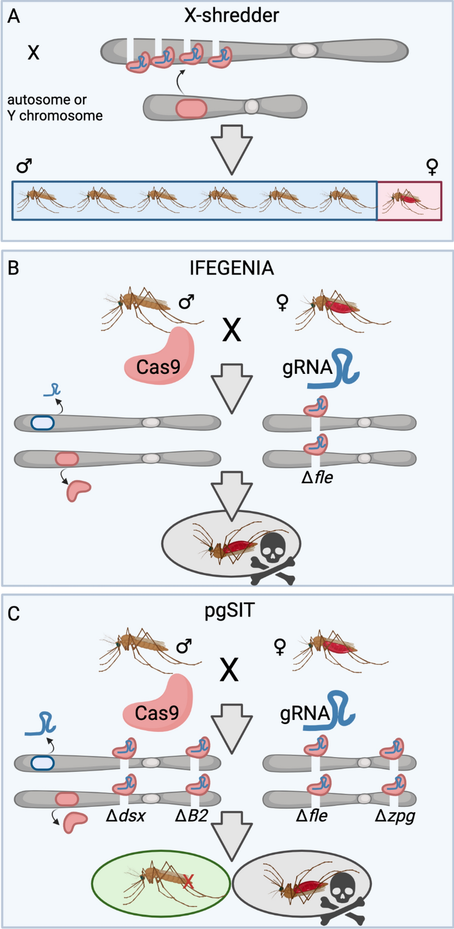THE INSPECTOR, Yale Repertory Theatre, 2025 by David Geffen School of Drama  at Yale | Yale Repertory Theatre - Issuu, image size:896x1831
