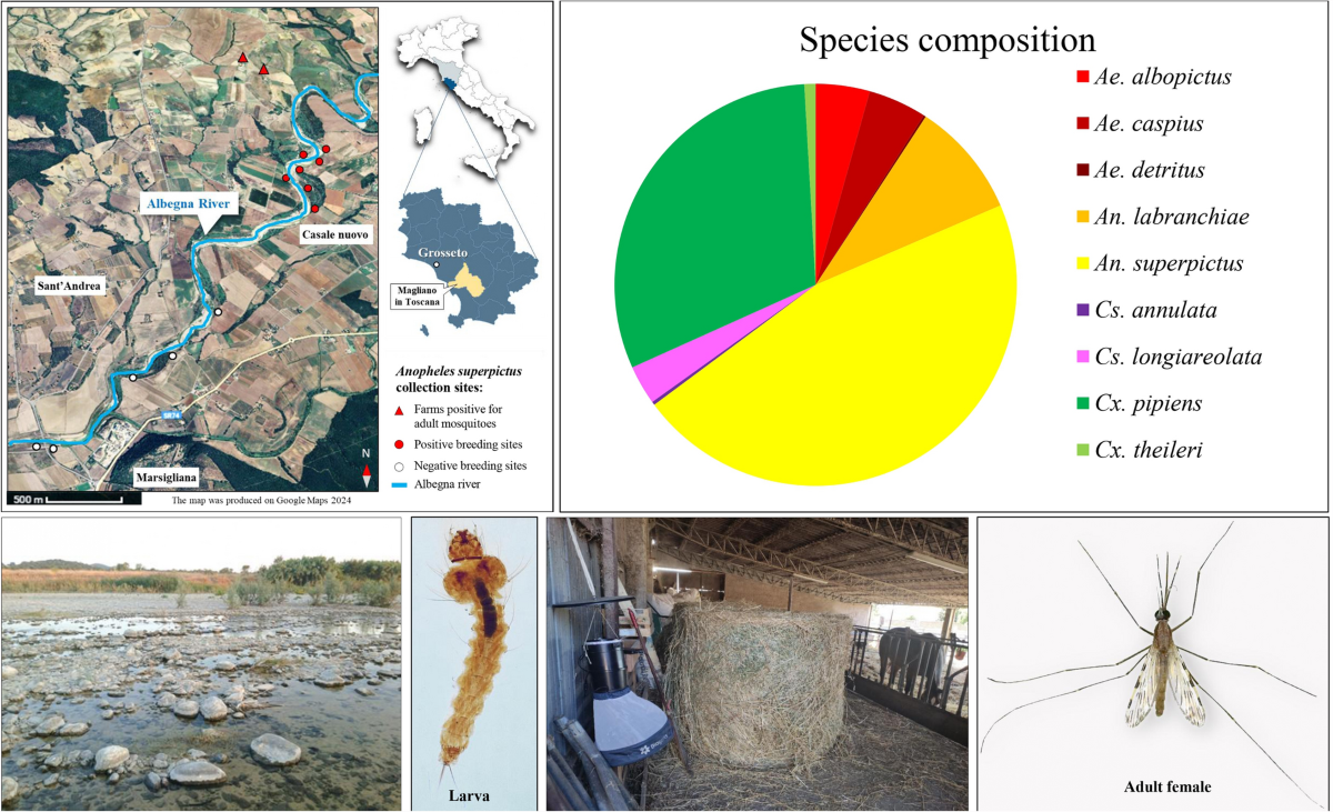 Untitled - Istituto di Ricerche Farmacologiche Mario Negri, image size:1200x731