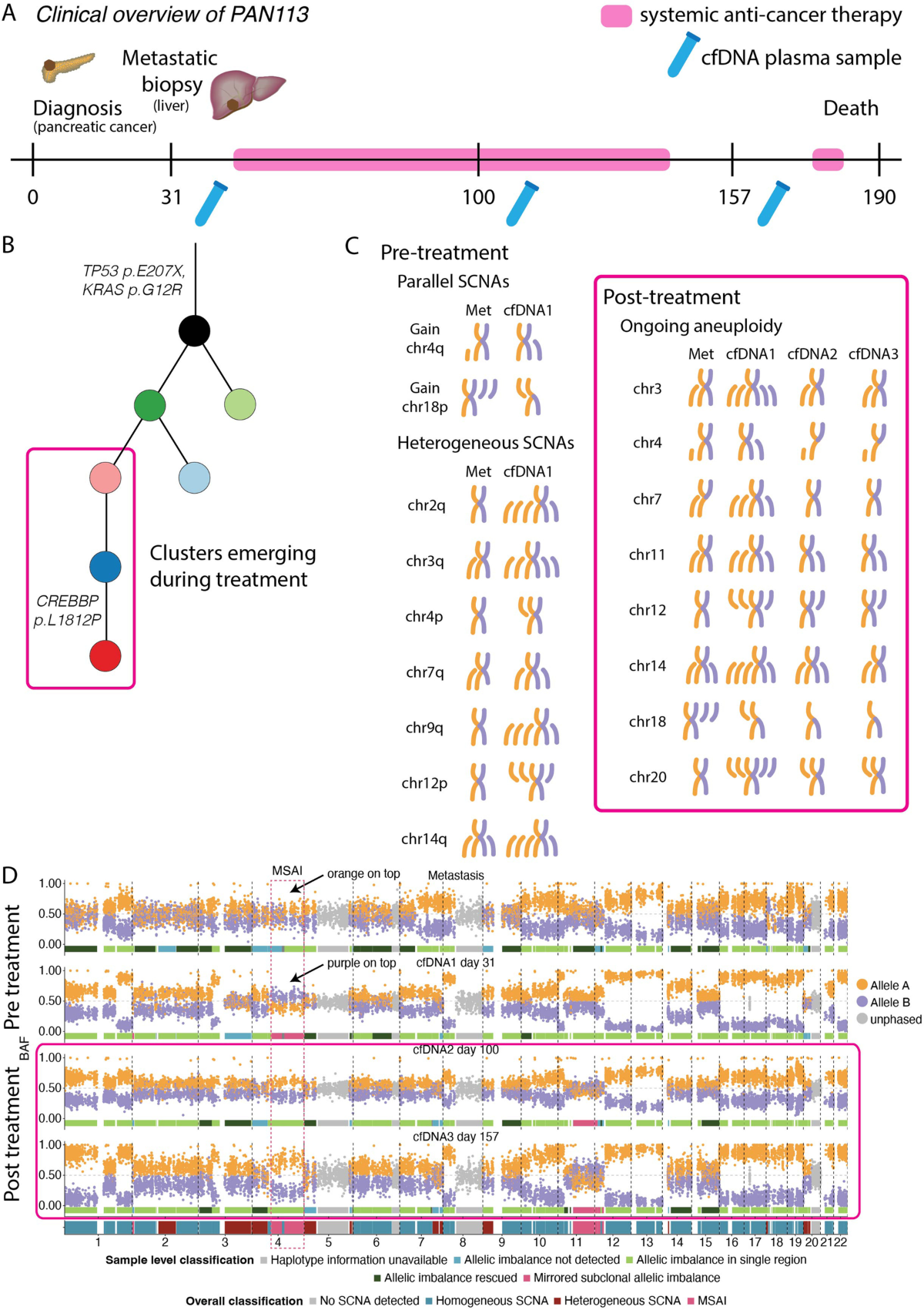 ACT-Discover: identifying karyotype heterogeneity in pancreatic cancer  evolution using ctDNA | Genome Medicine | Full Text