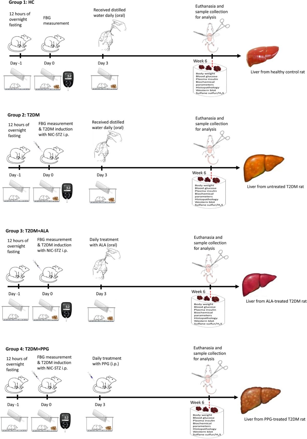 glutathione sulfur sensitivity Quantitative real-time imaging of glutathione main image 0