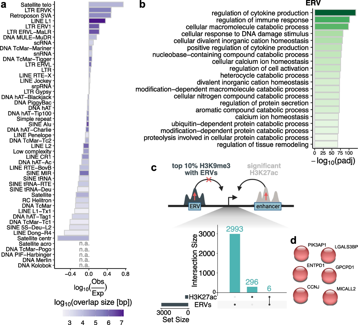Globally elevated levels of histone H3 lysine 9 trimethylation in early  infancy are associated with poor growth trajectory in Bangladeshi children  | Clinical Epigenetics | Springer Nature Link
