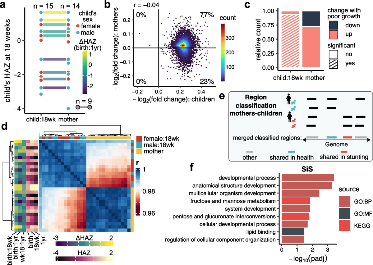 Globally elevated levels of histone H3 lysine 9 trimethylation in early  infancy are associated with poor growth trajectory in Bangladeshi children  | Clinical Epigenetics | Springer Nature Link