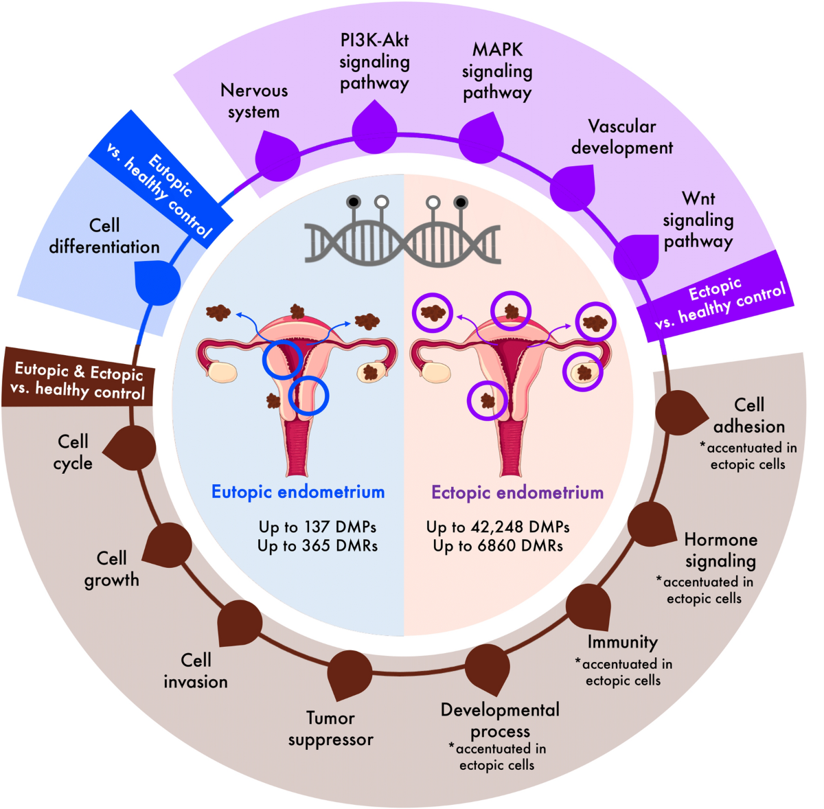 Systematic review on the DNA methylation role in endometriosis: current evidence and perspectives | Clinical Epigenetics | Springer Nature Link Systematic review on the DNA methylation role in endometriosis: current evidence and perspectives | Clinical Epigenetics | Springer Nature Link