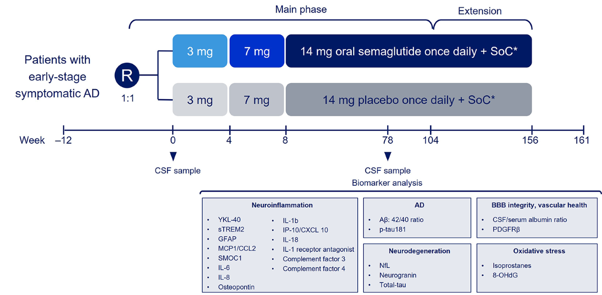 evoke semaglutide evoke and evoke+: design of two large-scale, double-blind,  placebo-controlled, phase 3 studies evaluating efficacy, safety, and  tolerability of semaglutide in early-stage symptomatic Alzheimer's disease  | Alzheimer's Research & Therapy