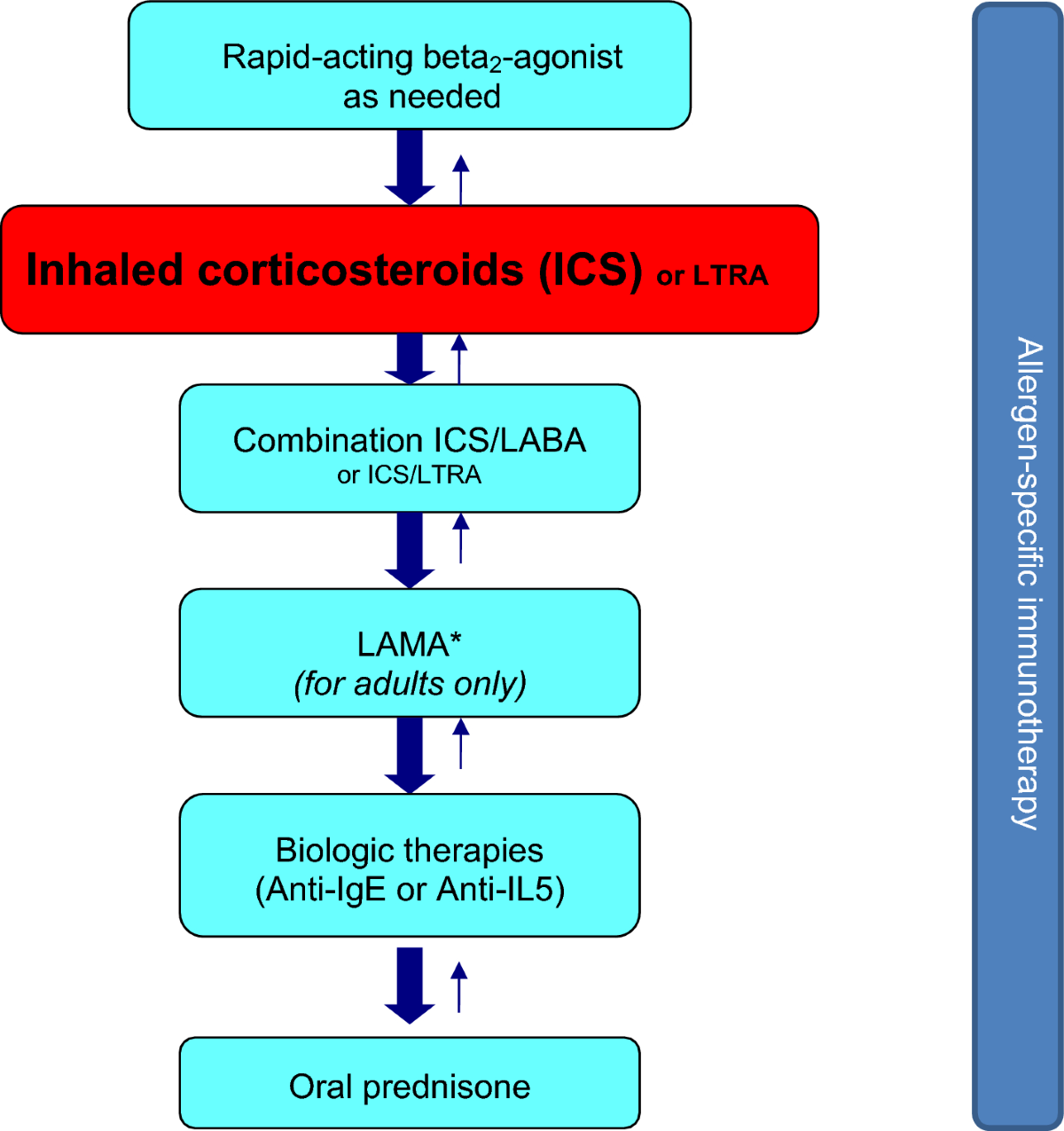 Asthma | Allergy, Asthma & Clinical Immunology | Full Text