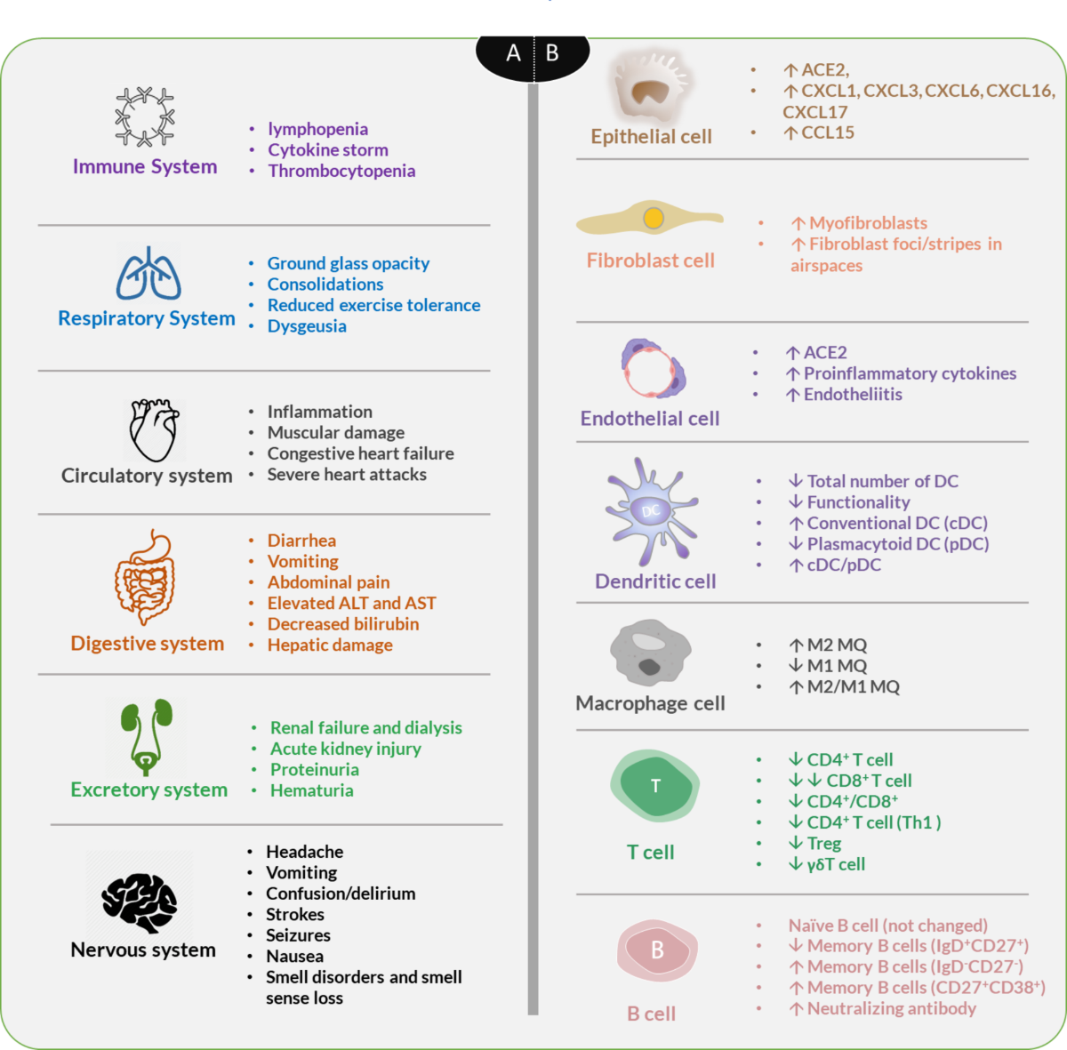 covid and smoking cigarettes The controversial effect of smoking and nicotine in SARS-CoV-2 infection |  Allergy, Asthma & Clinical Immunology