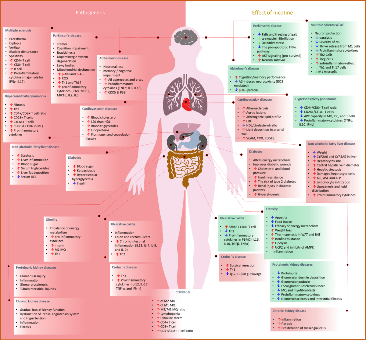 The controversial effect of smoking and nicotine in SARS-CoV-2 infection |  Allergy, Asthma & Clinical Immunology