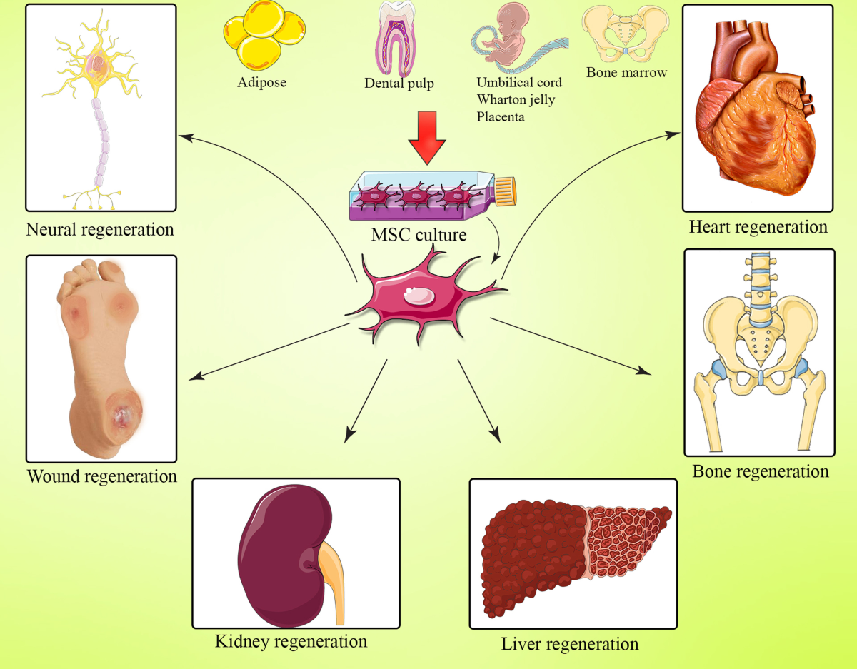 Hormone Therapy around St. Clair Shores, Michigan thumbnail