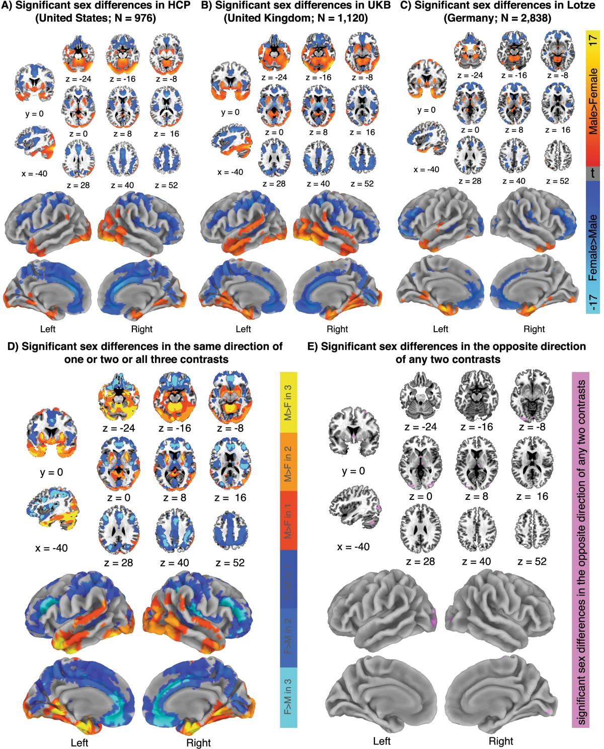 Sex differences in the human brain: a roadmap for more careful analysis and  interpretation of a biological reality, Biology of Sex Differences