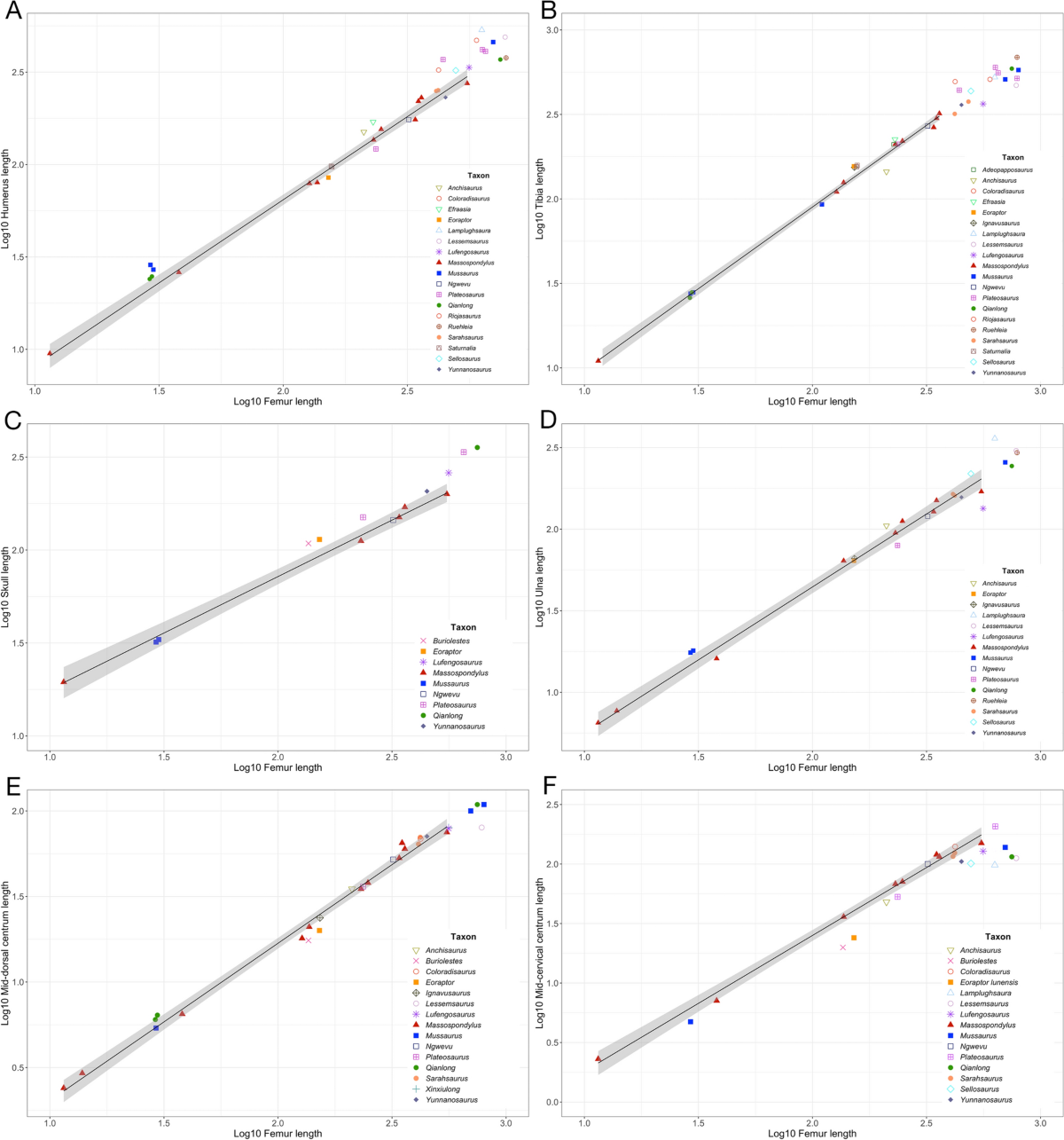 Massospondylus embryos and hatchling provide new insights into early  sauropodomorph ontogeny | Swiss Journal of Palaeontology | Springer Nature  Link