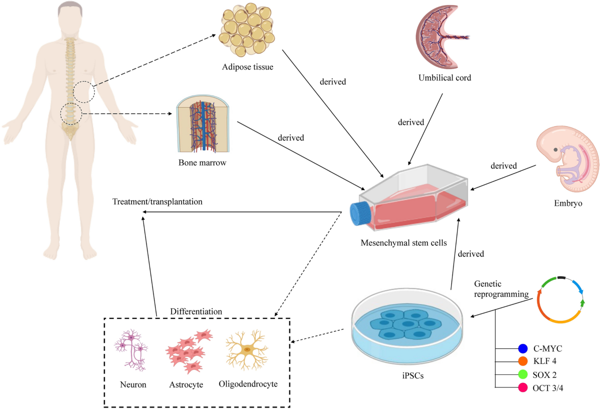 Exosomes stem cells 13578_2020_475_Fig1_HTML