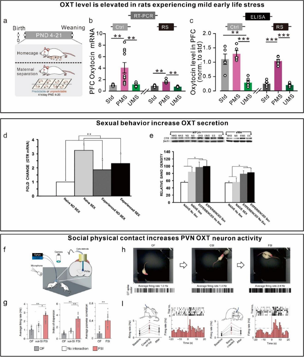 Therapeutic uses of oxytocin in stress-related neuropsychiatric disorders |  Cell & Bioscience | Springer Nature Link