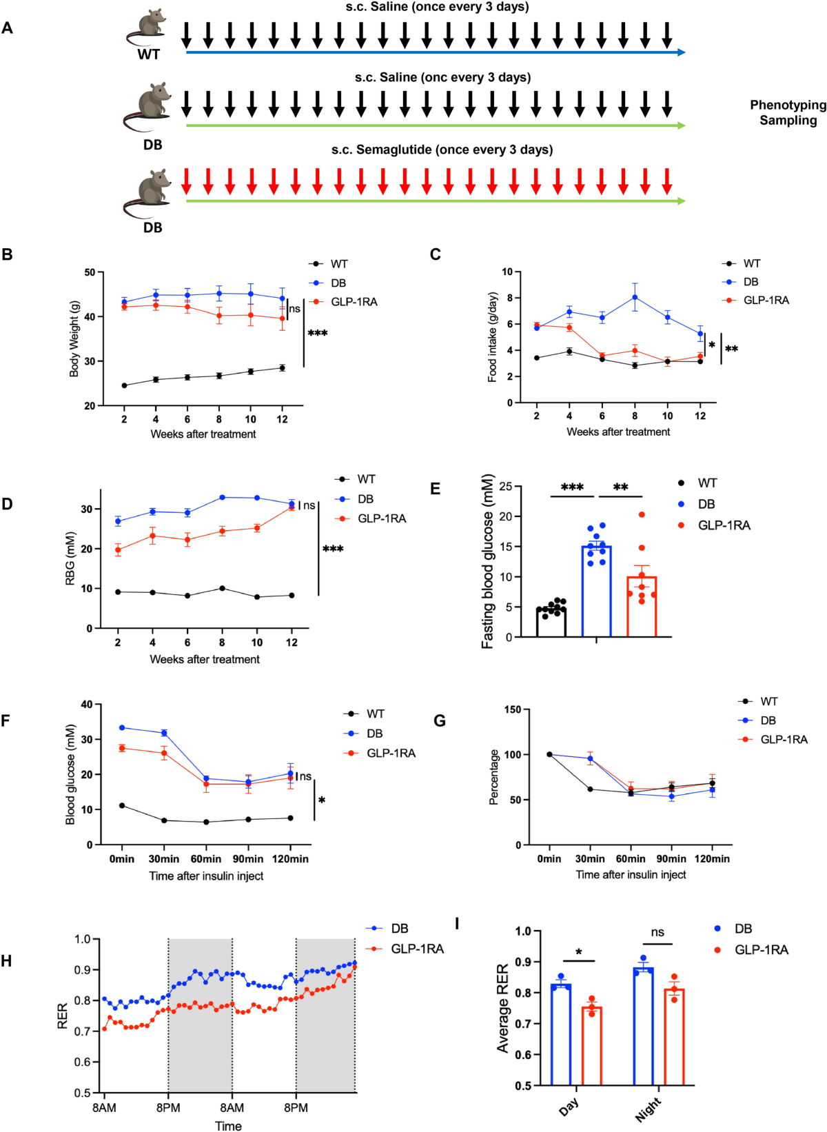 Combination of GLP-1 receptor agonist and Akkermansia muciniphila Akk11 reduces adiposity and ameliorates MASLD in T2D mice | Cell & Bioscience | Springer Nature Link Combination of GLP-1 receptor agonist and Akkermansia muciniphila Akk11 reduces adiposity and ameliorates MASLD in T2D mice | Cell & Bioscience | Springer Nature Link