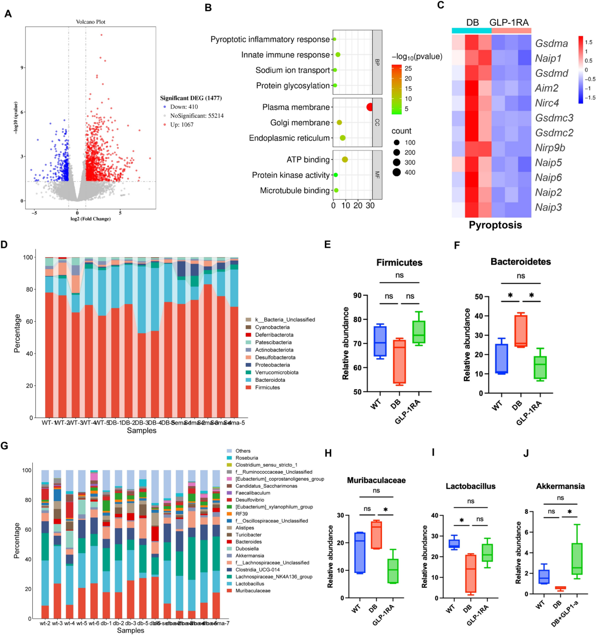 does glp 1 help thyroid Do GLP-1ra increase the risk of thyroid cancer? ➡️There was once a concern  about a very rare type, called “medullary thyroid cancer,” due to rodent  studies and their GLP-1 receptors on those