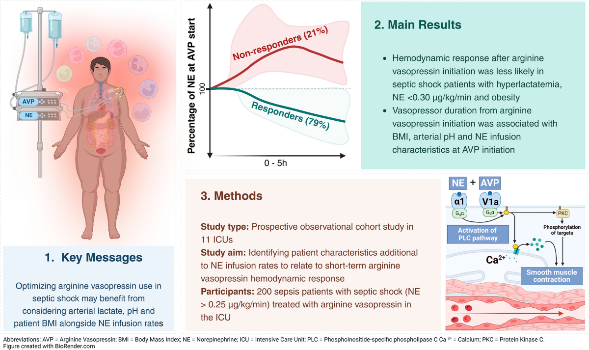 Hemodynamic effects of adjunct arginine vasopressin to norepinephrine in  septic shock: insights from a prospective multicenter registry study |  Annals of Intensive Care