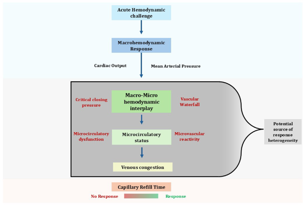 The intricate relationship between capillary refill time and systemic  hemodynamics in septic shock | Annals of Intensive Care | Springer Nature  Link