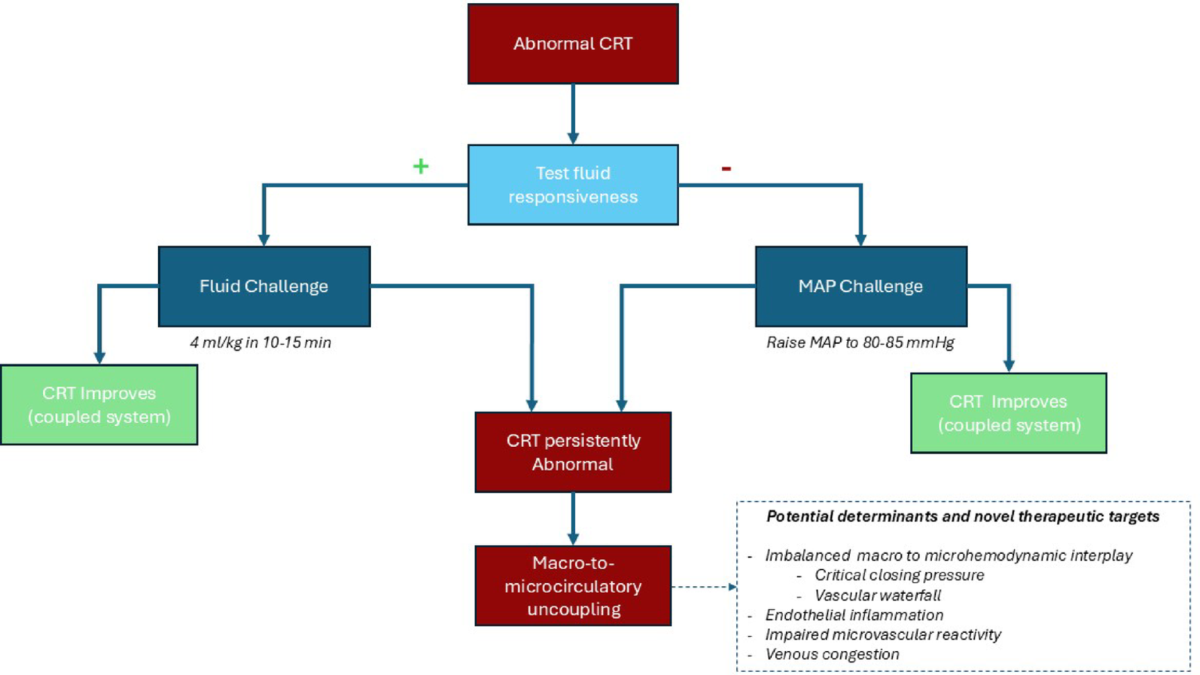 The intricate relationship between capillary refill time and systemic  hemodynamics in septic shock | Annals of Intensive Care | Springer Nature  Link