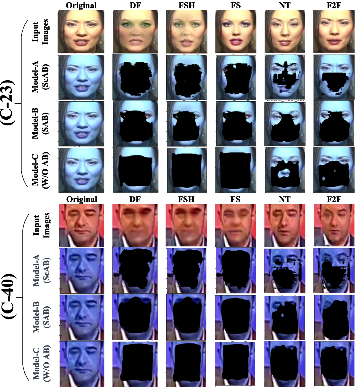 An ensemble model architecture for robust deepfake detection