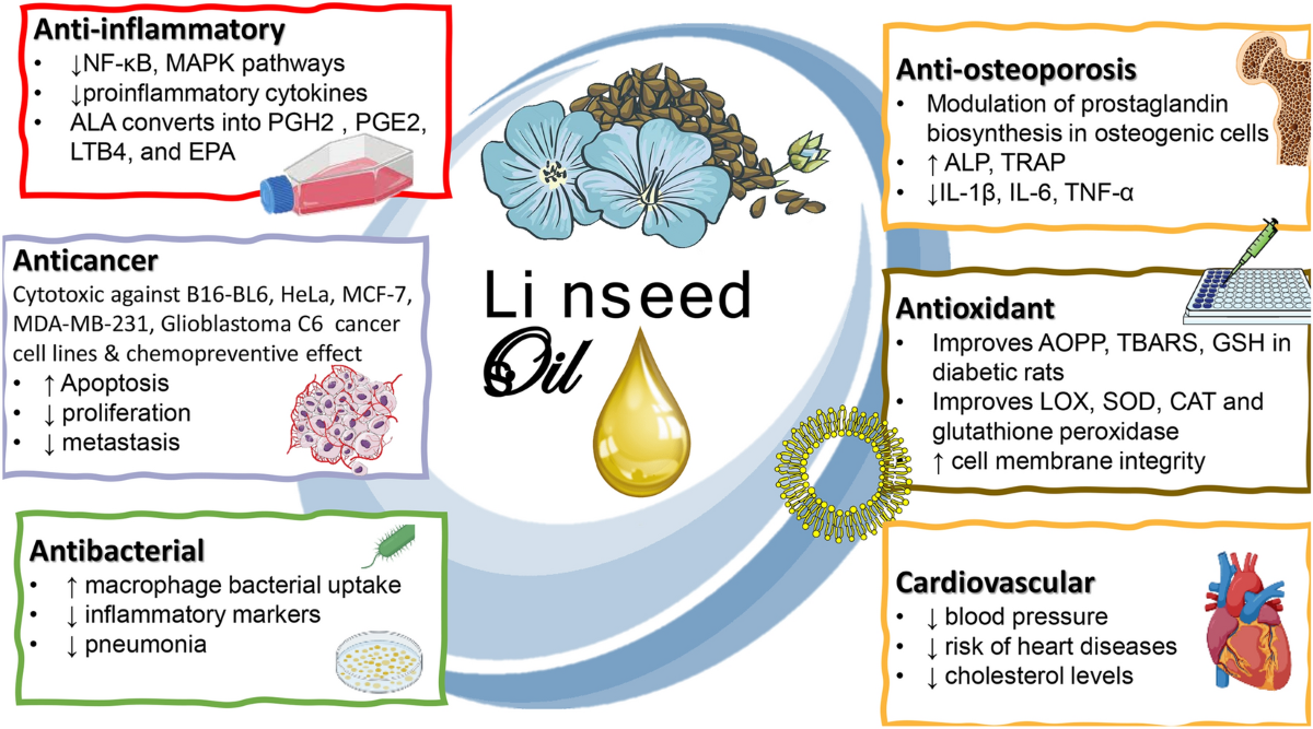 10 Fantastic Beauty Benefits of Flax Seeds for Skin, Hair with Recipes! -  beautymunsta - free natural beauty hacks and more!, image size:1200x667