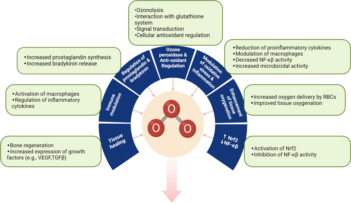 Ozone therapy in musculoskeletal medicine: a comprehensive review |  European Journal of Medical Research