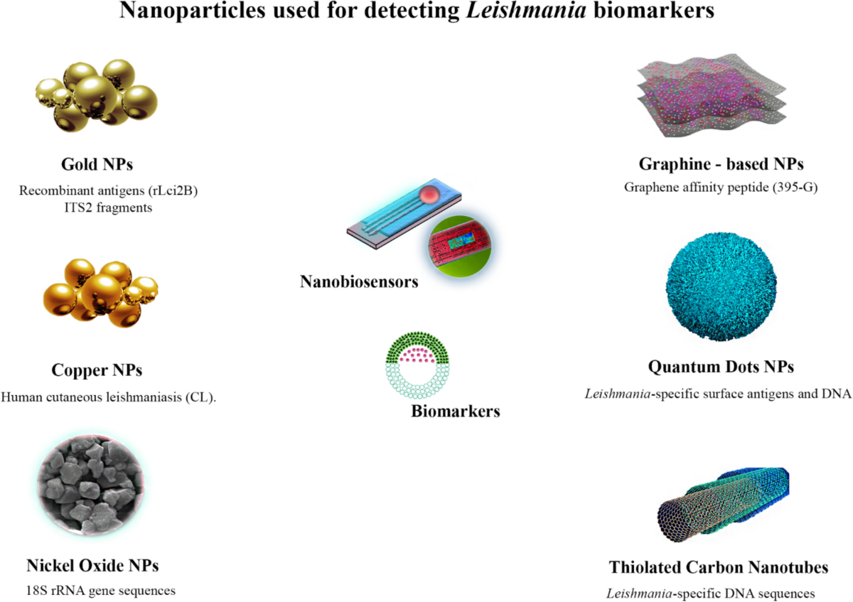 Nanobiosensors for revolutionizing parasitic infections diagnosis: a  critical review to improve global health with an update on future  challenges prospect | European Journal of Medical Research | Springer  Nature Link