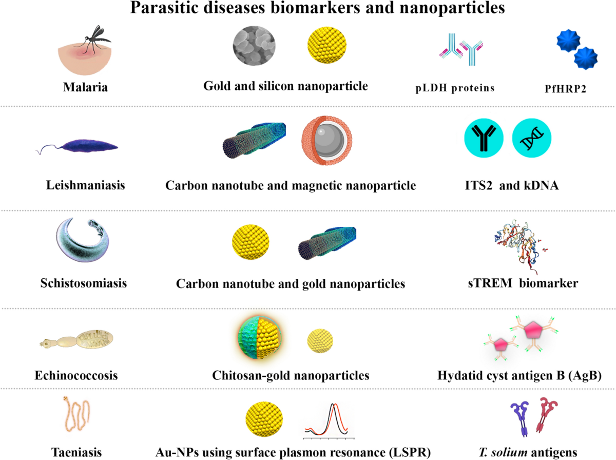Nanobiosensors for revolutionizing parasitic infections diagnosis: a  critical review to improve global health with an update on future  challenges prospect | European Journal of Medical Research | Springer  Nature Link