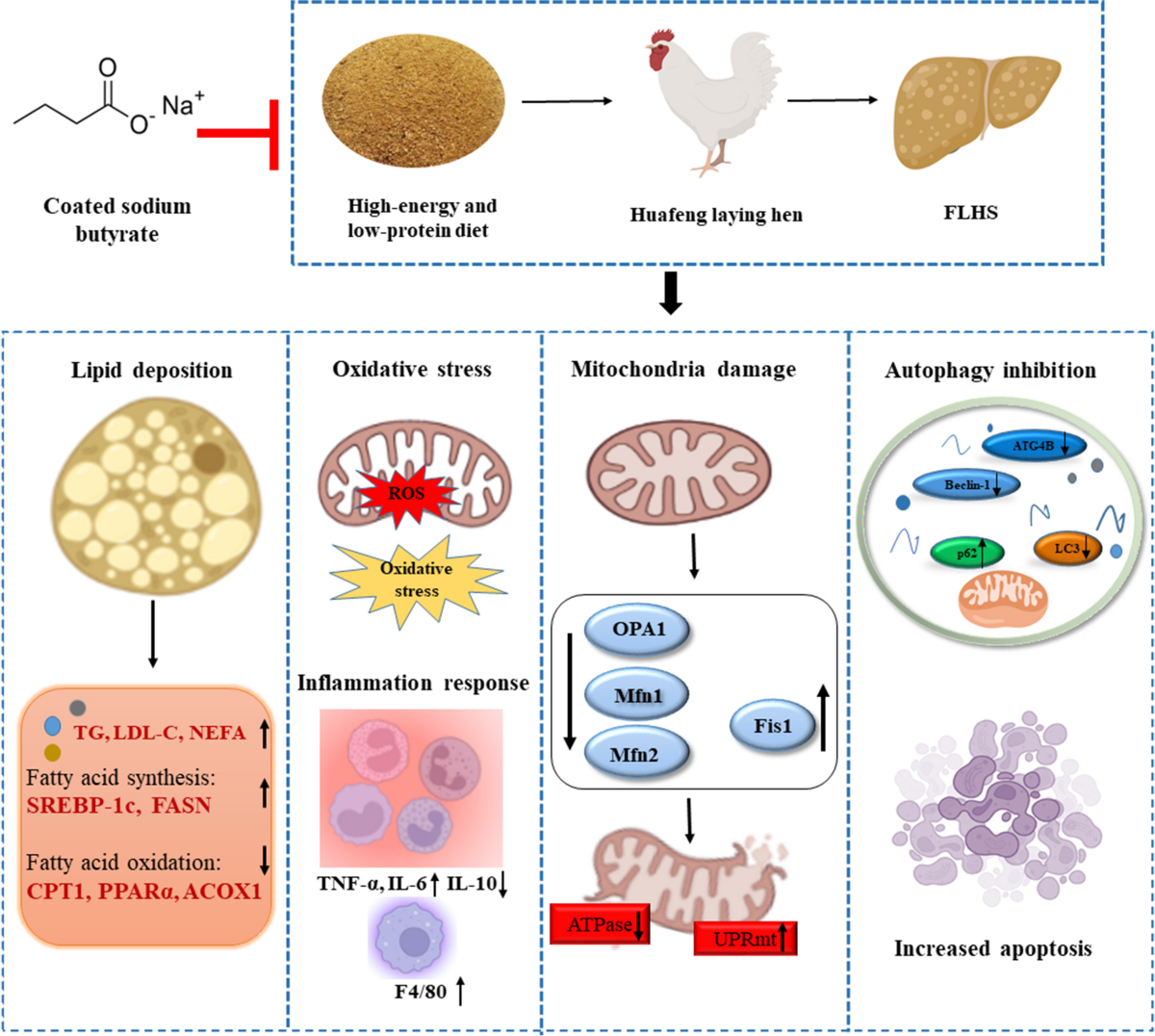 can i reuse old glutathione edition buffer TrimRX Coated sodium butyrate ameliorates high-energy