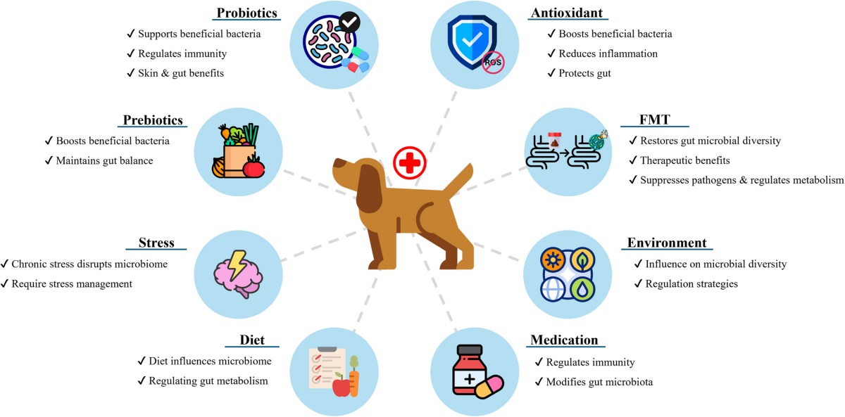 Preventing Canine Anxiety