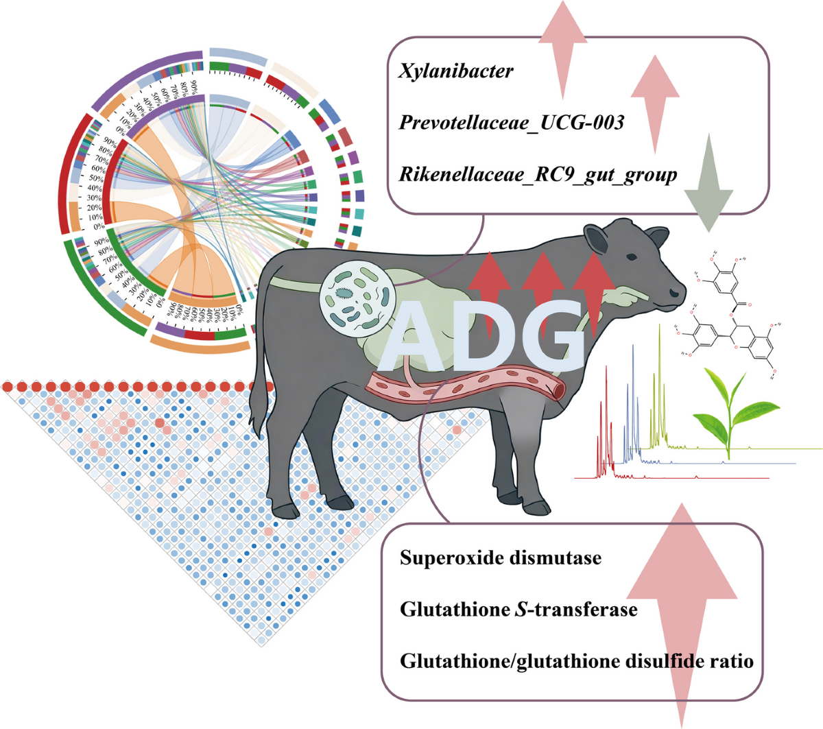 rectal glutathione Dietary green tea residue improves growth and antioxidant capacity via rumen microbiota and modulation in finishing beef cattle | Journal of Animal Science and Biotechnology Best Hair Vitamins Type:5000 mcg/ml - 30mL vial Bacteriostatic Water 30ml