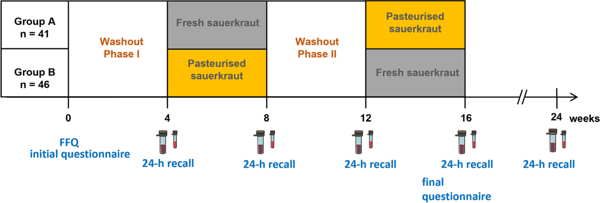 glutathione-peroxidase redox reactions pathway The glutathione redox cycle, demonstrating the inter-conversion of
