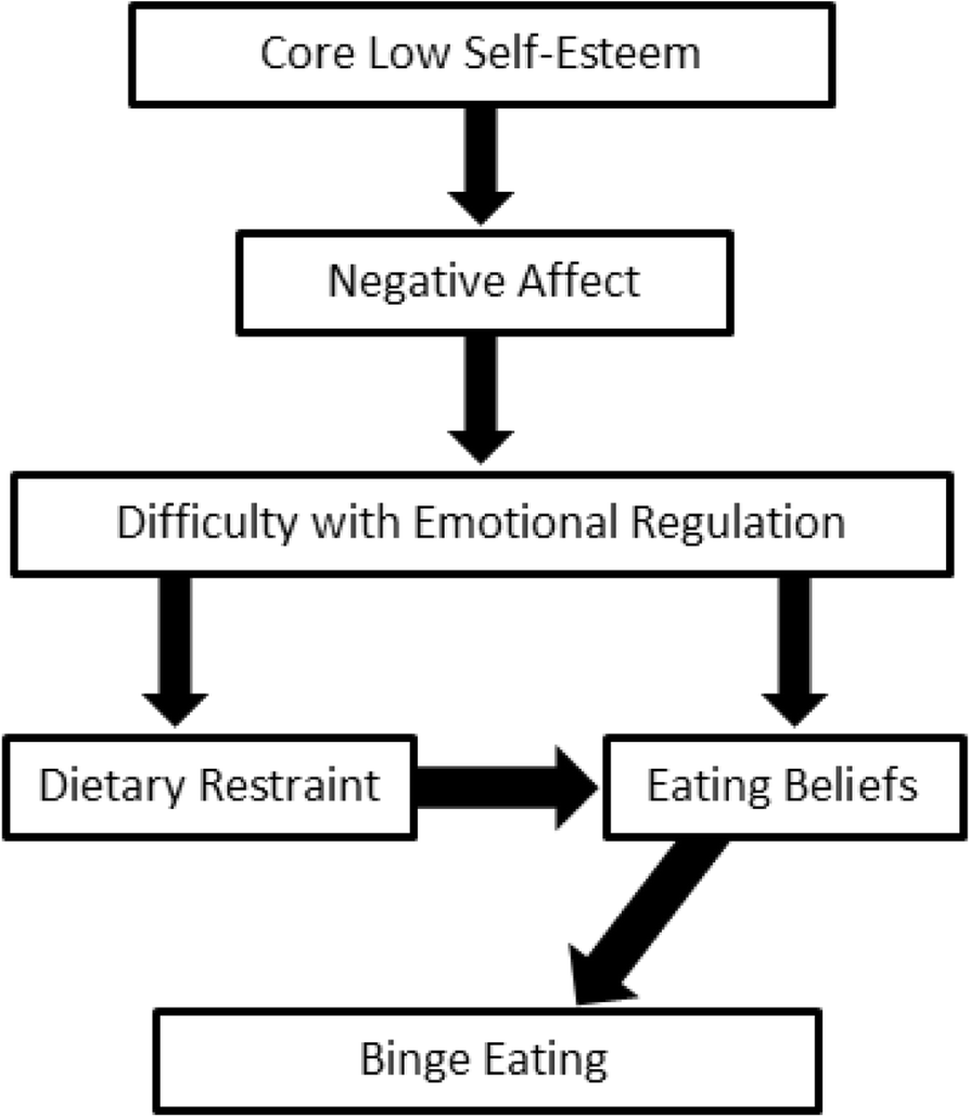 Processes and pathways to binge eating: development of an ...