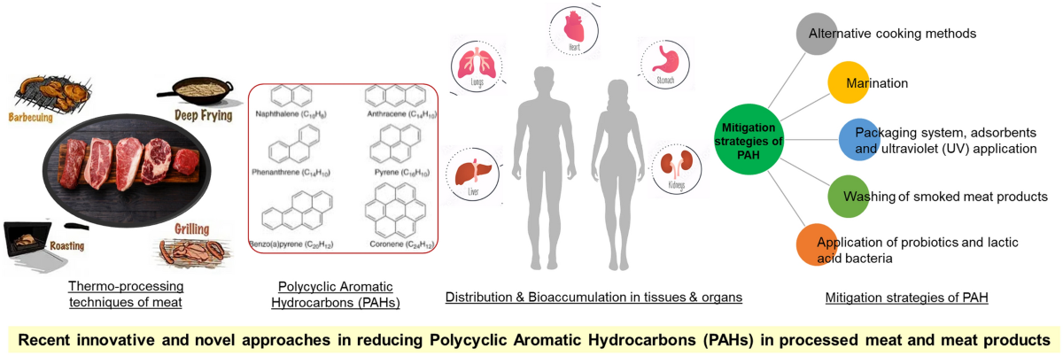 glutathione scavenger in portuguese Neurotherapeutic effect of Hyptis spp. leaf extracts Caenorhabditis elegans models of tauopathy and polyglutamine Current innovative approaches in reducing