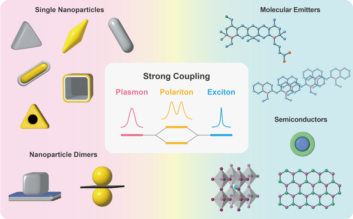 Strong coupling in plasmonic metal nanoparticles | Nano Convergence
