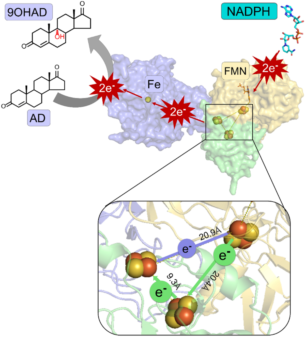 ferredoxin glutathione reductase Customized exogenous functions as an efficient electron carrier | Bioresources and Bioprocessing Reddit says it’s legit