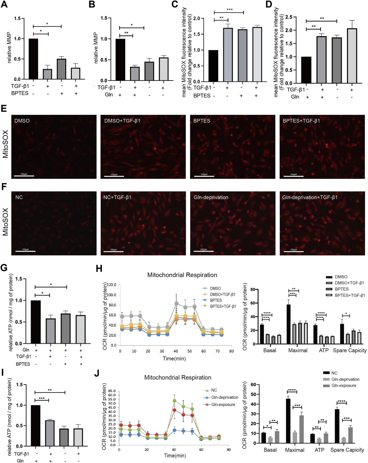 Glutaminolysis regulates endometrial fibrosis in intrauterine adhesion via  modulating mitochondrial function | Biological Research | Springer Nature  Link