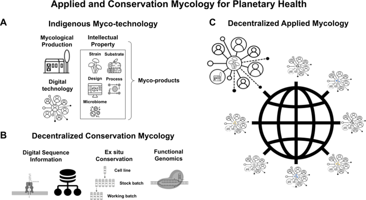 Indigenizing fungal biotechnology for planetary health: an opinion paper |  Fungal Biology and Biotechnology | Springer Nature Link
