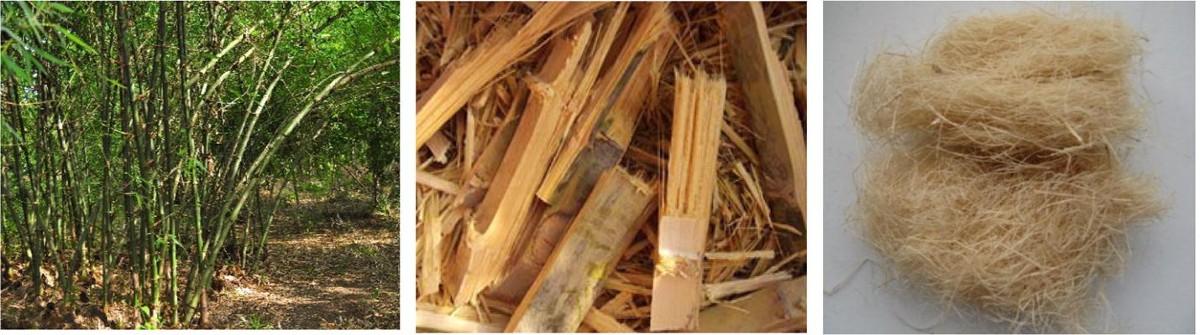 Investigation of random inclusion of bamboo fiber on ordinary soil and its  effect CBR value | International Journal of Geo-Engineering | Springer  Nature Link