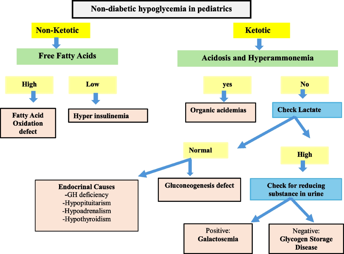 can semaglutide cause hypoglycemia in non diabetics Safe for Non-Diabetics Can GLP-1 Medications Cause Low