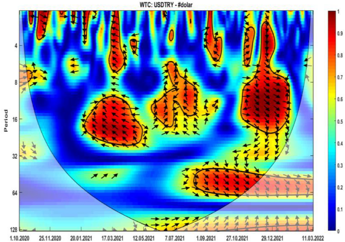 Investigation of the relationship between number of tweets and USDTRY  exchange rate with wavelet coherence and transfer entropy analysis |  Financial Innovation