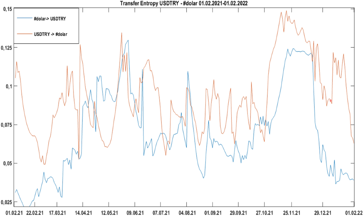 Investigation of the relationship between number of tweets and USDTRY  exchange rate with wavelet coherence and transfer entropy analysis |  Financial Innovation
