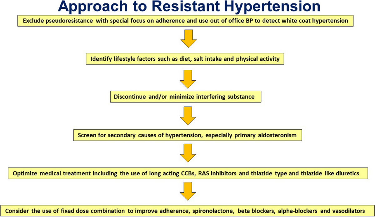 hypertension remedies