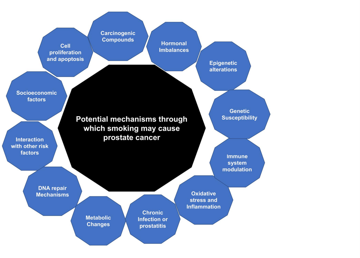 can tobacco cause prostate cancer Smoking and the risk of prostate cancer: a review of risk and disease  progression | Genes and Environment