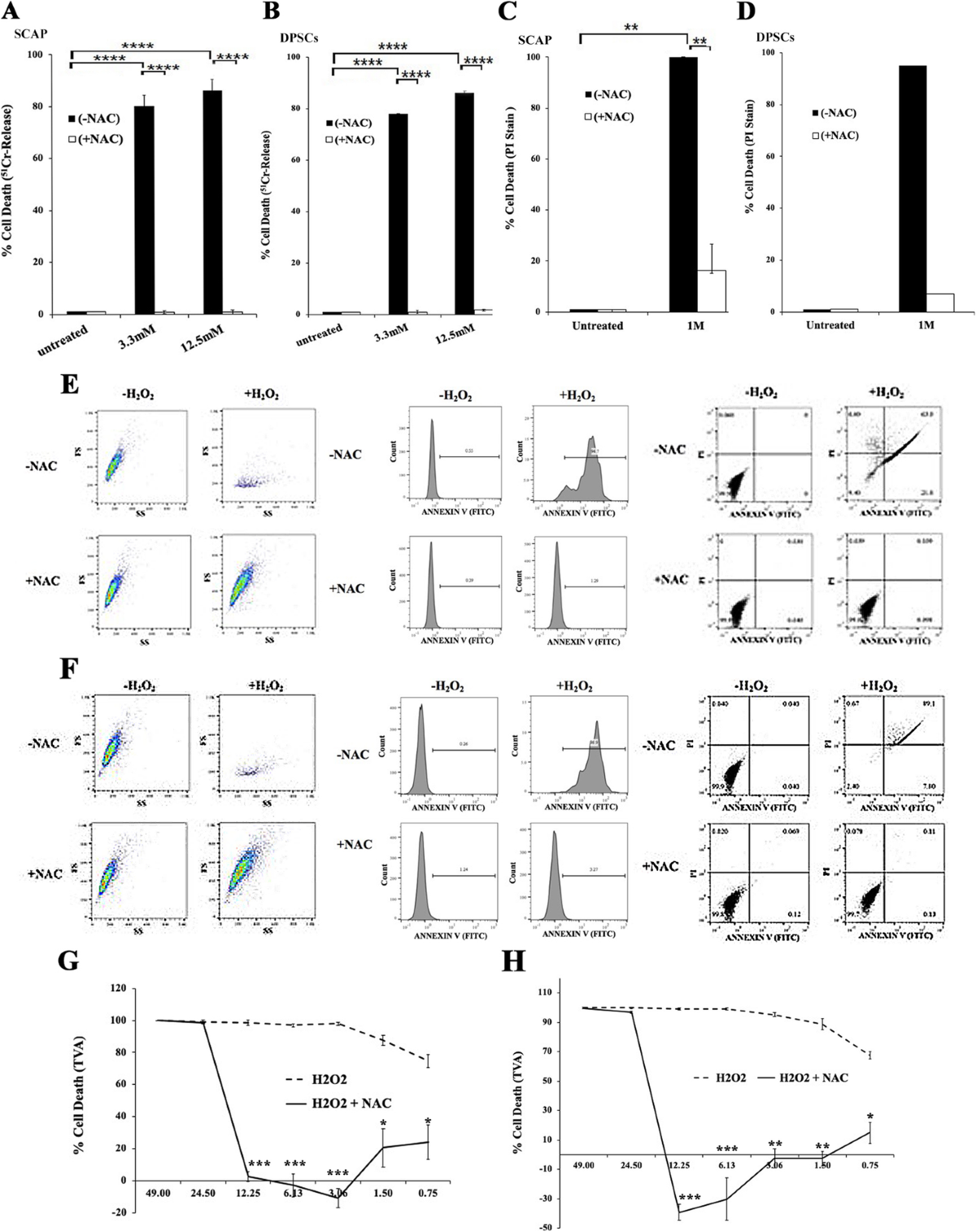 N-acetyl cysteine prevents pain and hypersensitivity of bleaching agents without affecting their aesthetic appeal; evidence from in vitro to animal studies and to human clinical trials | Translational Medicine Communications
