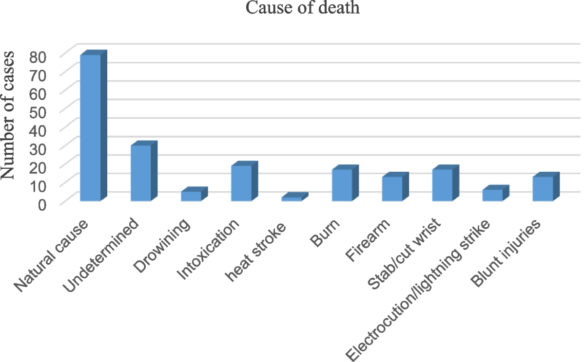 Subdural hemorrhage in hanging deaths: a retrospective case 