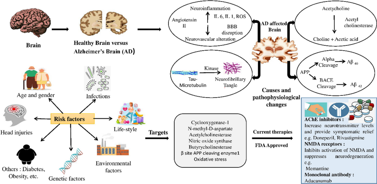 does glutathione affect alzheimer disease progression Targeting the molecular web of Alzheimer's disease: unveiling pathways for  effective pharmacotherapy | The Egyptian Journal of Neurology, Psychiatry  and Neurosurgery