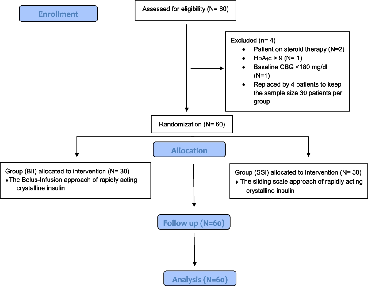 Sliding scale insulin infusion (97) 사진