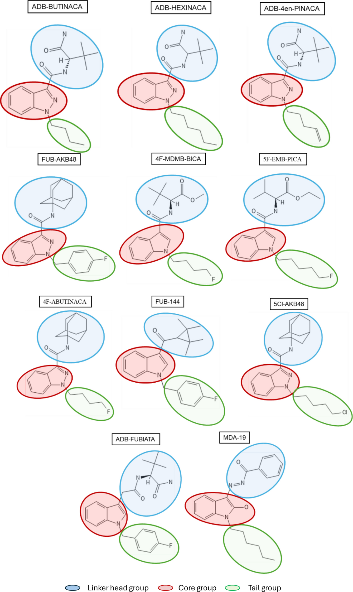 Behavioral pharmacology of novel synthetic indazole, indole, and benzimidazole cannabinoids in rodents | Journal of Cannabis Research | Springer Nature Link Behavioral pharmacology of novel synthetic indazole, indole, and benzimidazole cannabinoids in rodents | Journal of Cannabis Research | Springer Nature Link