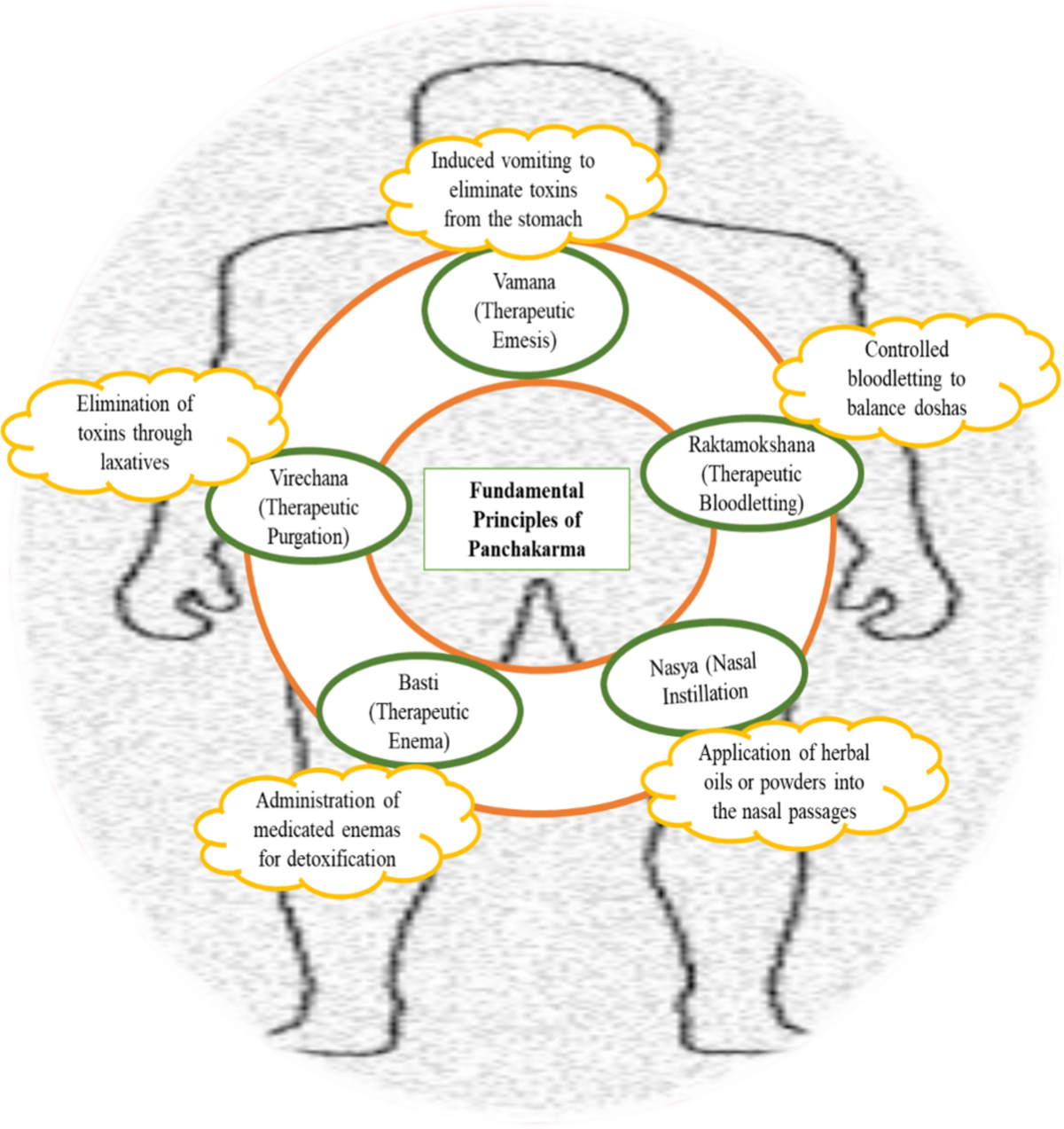 Online Ayurveda Body Type Course